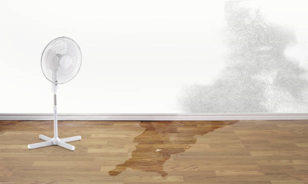 Best Flood damage cleanup  in Cold Spring, NY
