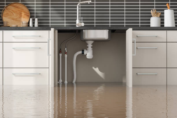 Best Mold removal after water damage  in Cold Spring, NY